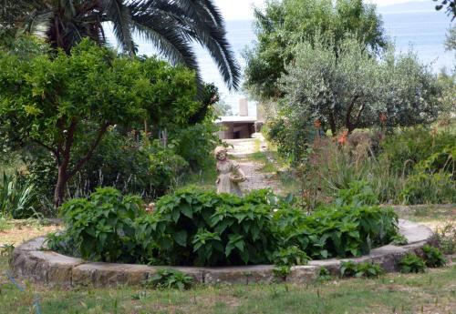 Apartment Lju on the Beach Apartment Lju on the Beach