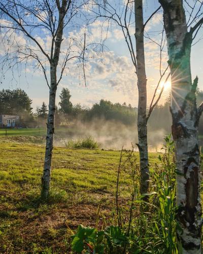 Skats, Studniarskie Zacisze - domek Moringa in Bialachowo