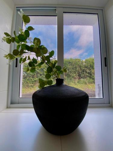 Pura Vida in ลอมบา ดาไมยา