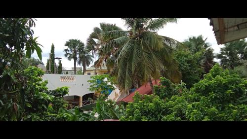 Jallow and Bah kunda village in Bijilo