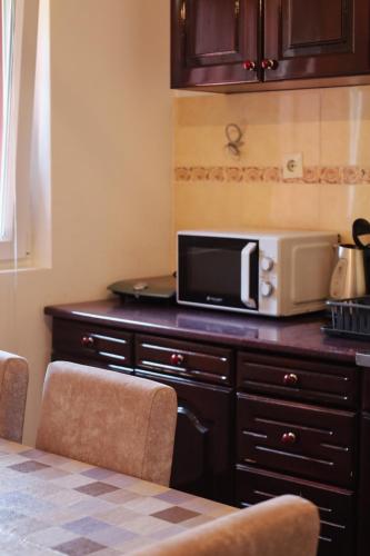 Elena Apartment in Pluzine