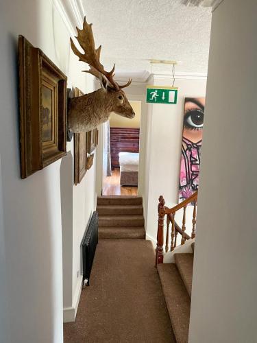 Traditional farm house in Antrim in แอนทรีม