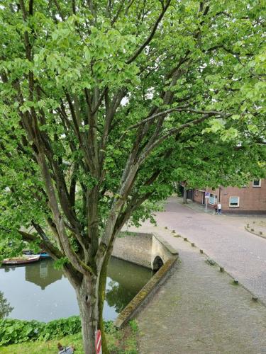  Aan de Burgwal in Enkhuizen
