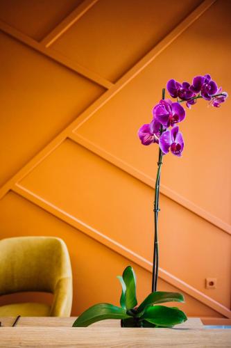 Artelo - Inspired Stay, Bitola (fotografie 2)