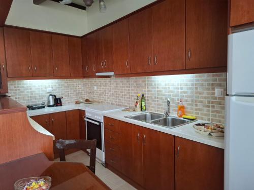Karofillos homes-Oropedio in Lasithi Plateau