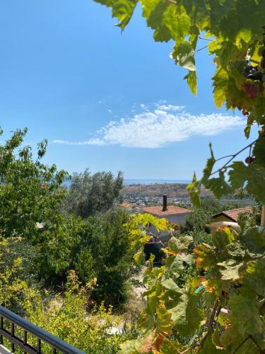 Apartman Lana in Zgrade