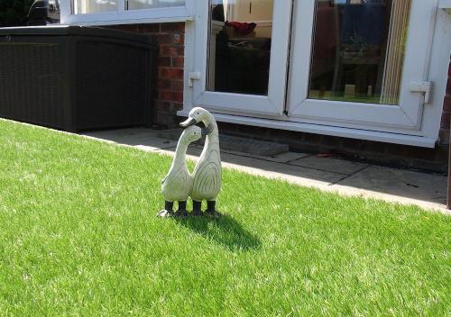 Garden, Chateau Julie in Croxteth