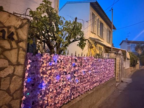 Charming house near Center Nice with new air conditioner 3