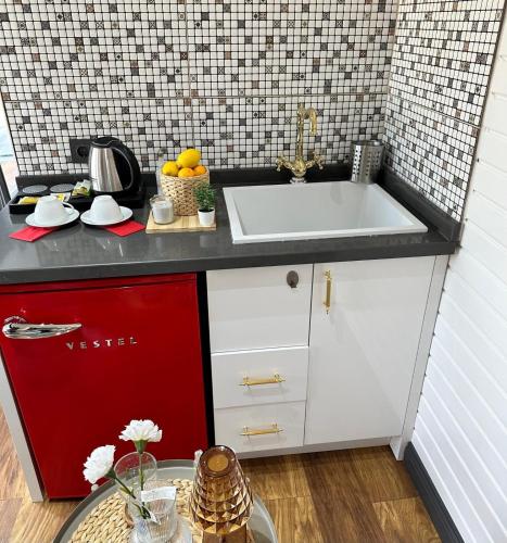Ağva Nehir Kenarı TinyHouse Jakuzili (Agva Nehir Kenarı TinyHouse Jakuzili) in Göçe