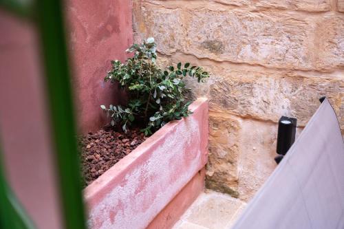 Apartment with Lush Yard - Valletta, La Valletta (foto 8)