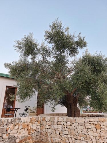 Resort Masseria Cecato 3