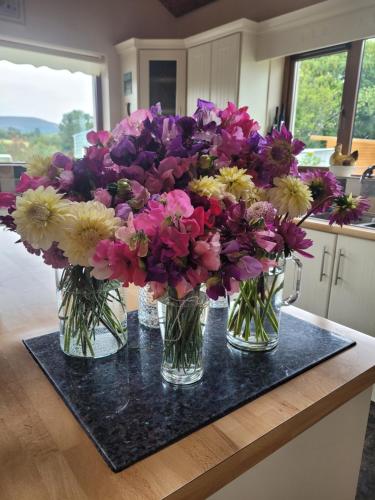 Melleray Heights in Cappoquin