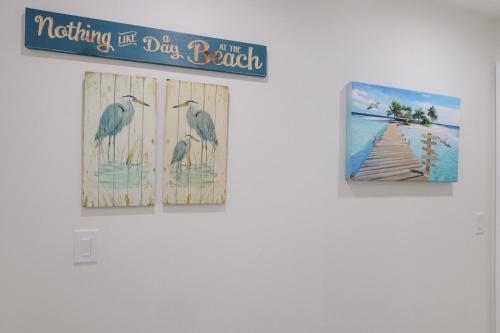 Surf Riders home - image 2