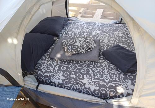 Rooster Run Camping is a - rooftop & elevated camping experience! Incredible views of The Rain Forre in Vieques