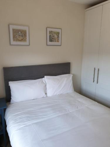 Luxury Custom Hall City Apartment, Dublin (fotografie 8)