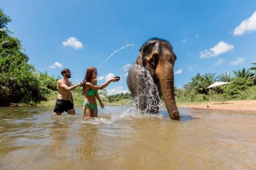 Attractions, Khaosok Jungle hostel Branch 2 in Khao Sok (Suratthani)