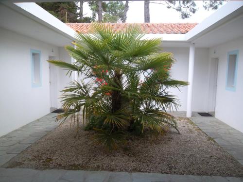 Le Hameau de l'Ocean - image 2