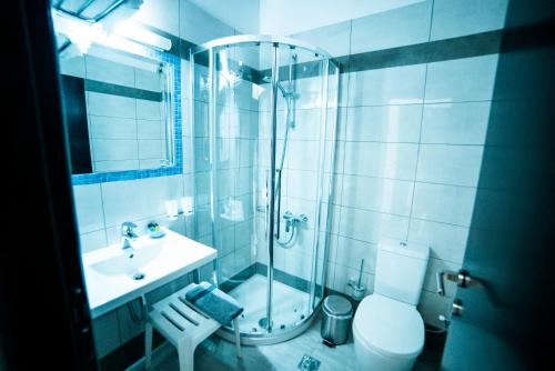 Hotel Dellis - image 10