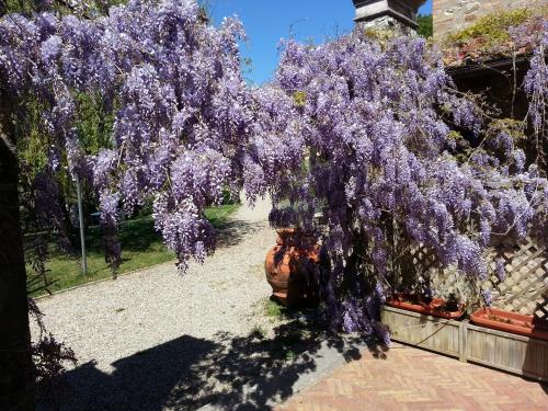 La Loggia - Villa Gloria -Adults Only