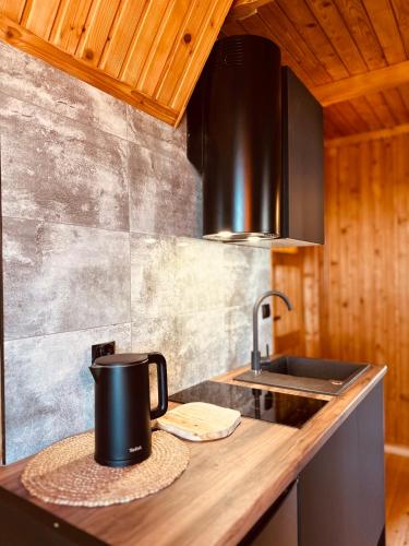 자코파네 Apartamenty 1000m npm Murzasichle 3성급 게스트하우스 전망