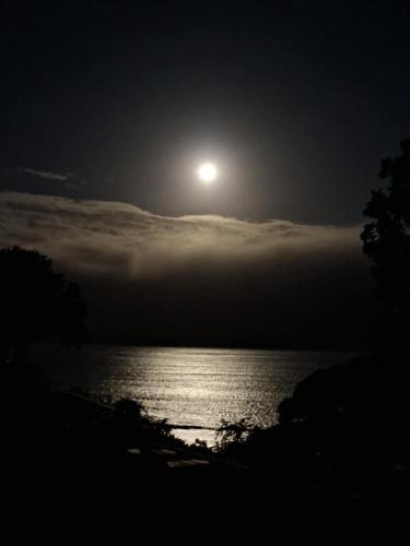 Rangimarie Anaura Bay Beachstay in Tokomaru Bay