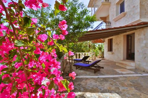  Kaktus Ada in Kaş