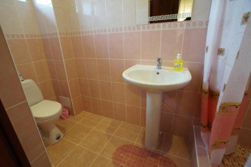 Guesthouse Radonezh