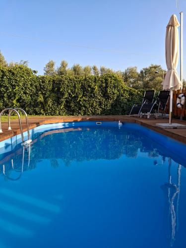 Swimming pool, Terra Solaris Guesthouse in Mithimna