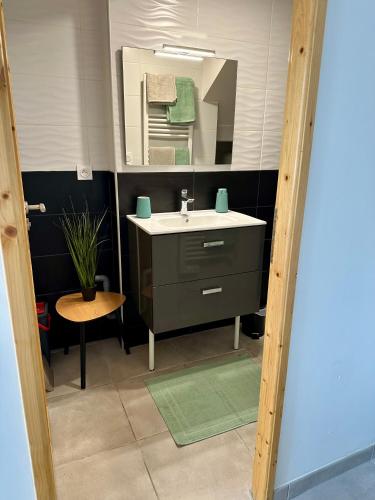 Fürdőszoba, Studio Cosy en vallée d'Ossau (Studio Cosy en vallee d'Ossau) in Bielle