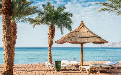 ספרה אילת Sphera Eilat, Eilat (foto 3)