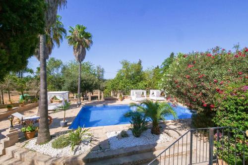 FALCO , Apartment auf Finca Zenara, Terrasse, XXL-Pool, Küche, AC, WIFI, Yoga, Manacor (foto 9)