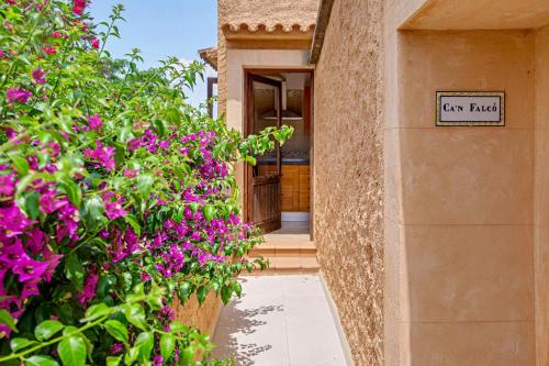 FALCO , Apartment auf Finca Zenara, Terrasse, XXL-Pool, Küche, AC, WIFI, Yoga, Manacor (foto 10)
