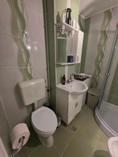 Garsoniera-studio in Zalău (Garsoniera-studio in Zalau) in ซาเลา