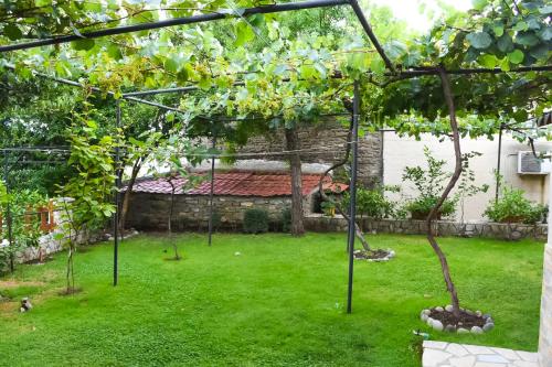 Vila Culli