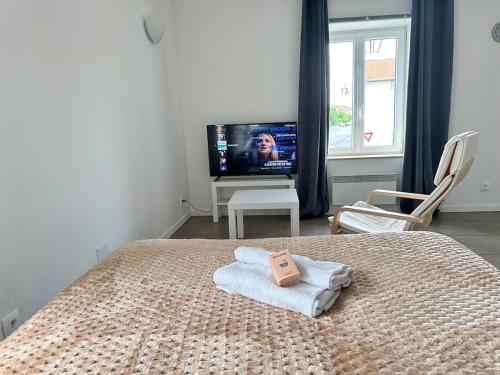 M 102 Studio calme et chaleureux proche Metz in Woippy