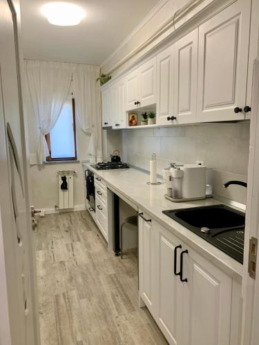 Central and beautiful flat in 福克沙尼