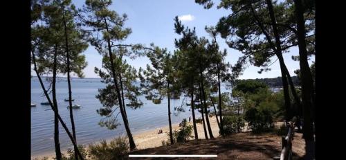 Maisonnette, Arès (zdjęcie 5)