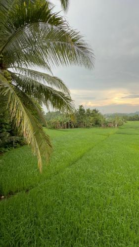 Lalies Inn in Batuan