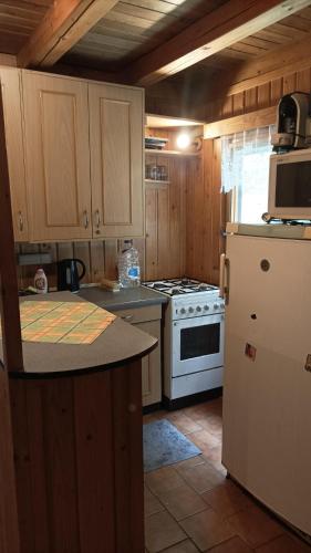 Kitchen, Chata Masarka in Uherský Brod