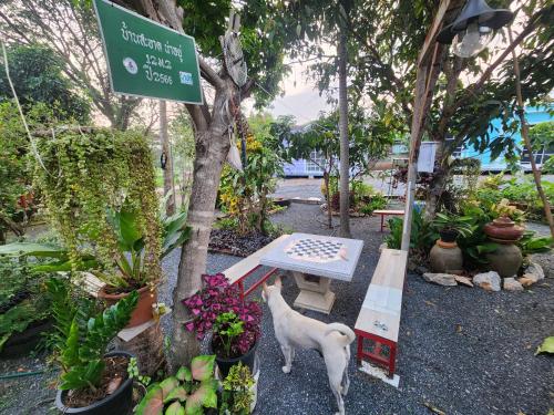 Blessing Homestay Mae-On แม่ออน Chiang Mai - 정원