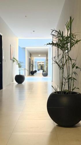 Skypark One Gulberg Islamabad - Apartments by Guest Favourites in Rawalpindi