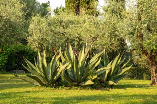 Villa Paradiso - image 13