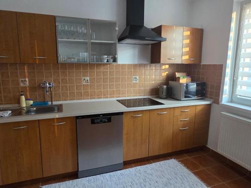 Apartmány 105