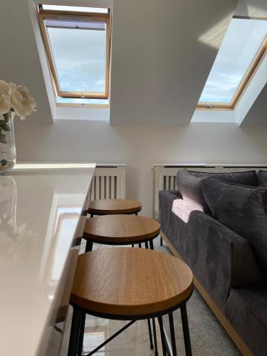 Strzyzewo Witkowskie Luxury Apartment in 波維茲