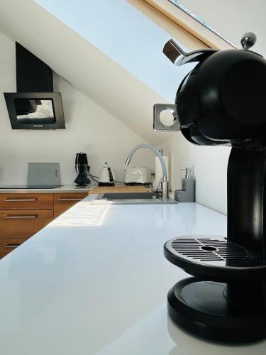 Strzyzewo Witkowskie Luxury Apartment in 波維茲