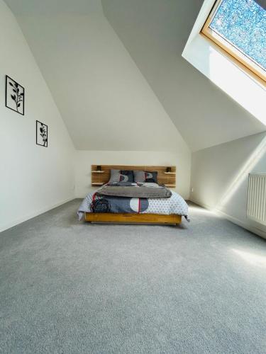 Strzyzewo Witkowskie Luxury Apartment in 波維茲