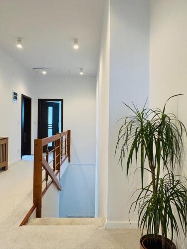 Strzyzewo Witkowskie Luxury Apartment in 波維茲