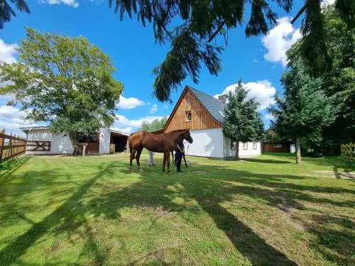Ferienhaus in Ostseenähe auch mit Pferd in Ducherow, Deutschland