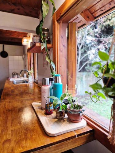 Shelter Patagonia Hostal in 엘 볼손