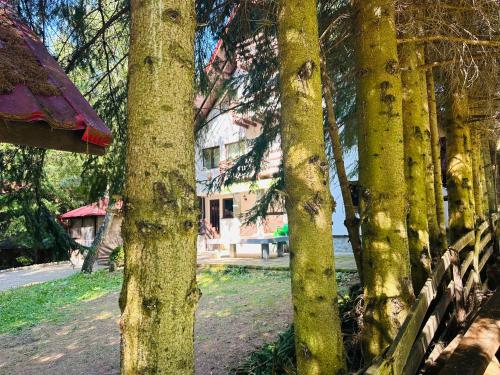 Casa Mario in Valea Hotaruluja